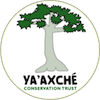 Yaaxche Conservation Trust